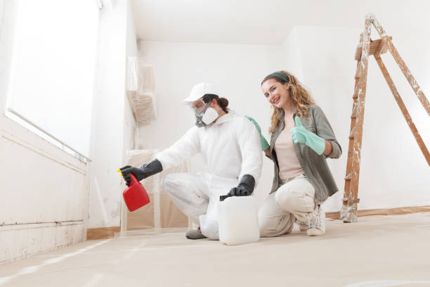 Best Mold Prevention Services  in Archer, FL